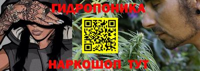 амф Ачхой-Мартан