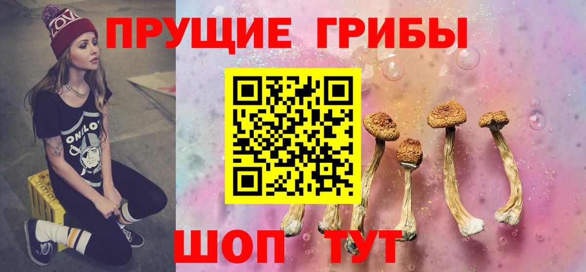 Псилоцибиновые грибы мицелий Майский